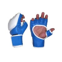 MMA Gloves