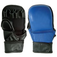 MMA Gloves